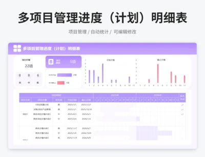 多项目管理进度（计划）明细表