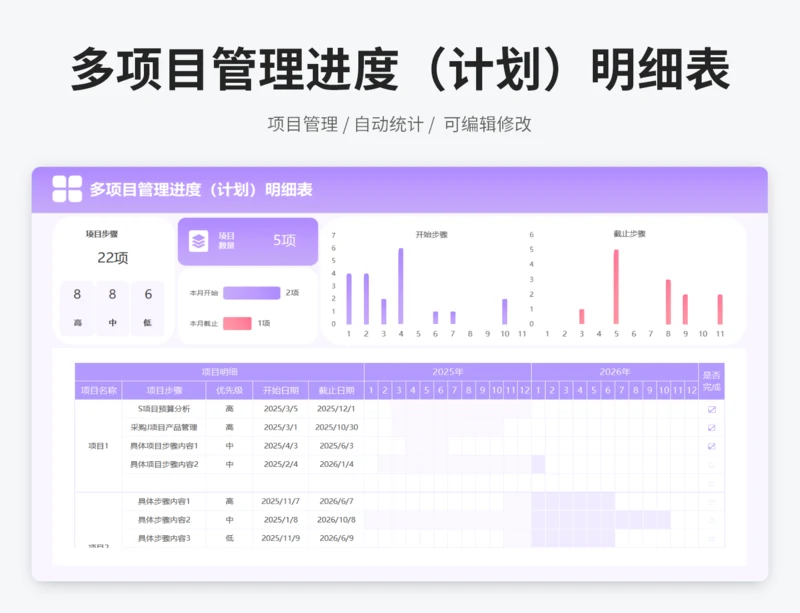 多项目管理进度（计划）明细表