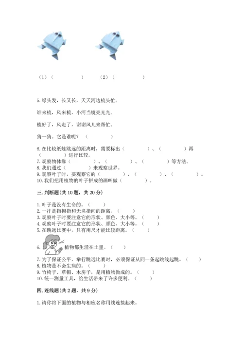 教科版一年级上册科学期末测试卷带答案（巩固）.docx