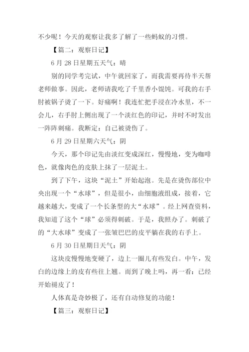 小学四年级观察作文.docx