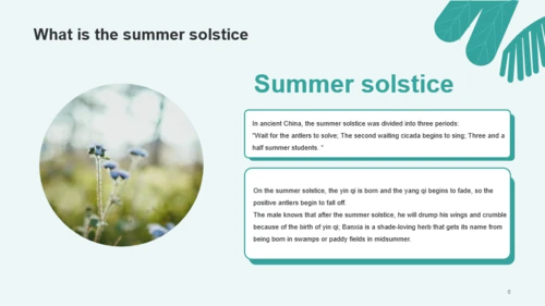 summer solstice PPT