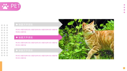 宠物店宠物品牌宣传通用PPT模板
