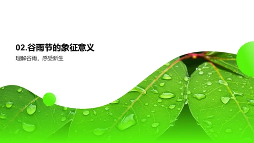 谷雨春播，共创辉煌