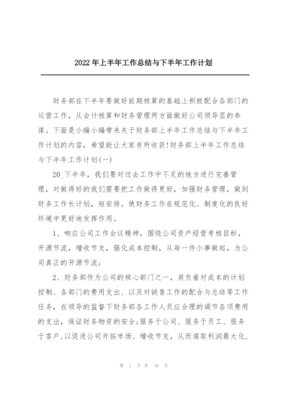 2022年上半年工作总结与下半年工作计划.docx