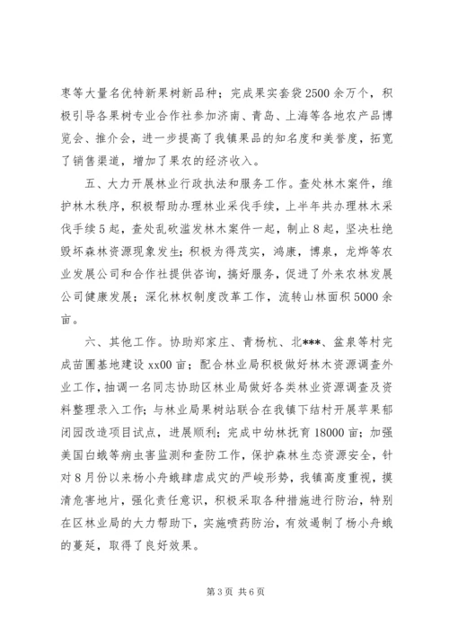乡镇林业站年终工作总结范文.docx