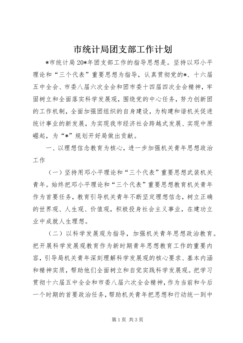 市统计局团支部工作计划.docx