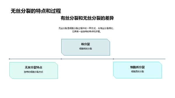 揭秘细胞分裂的奇妙之旅