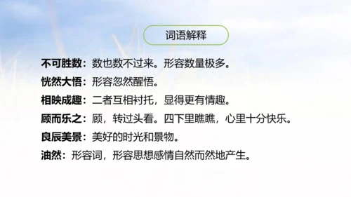 3.月是故乡明   课件