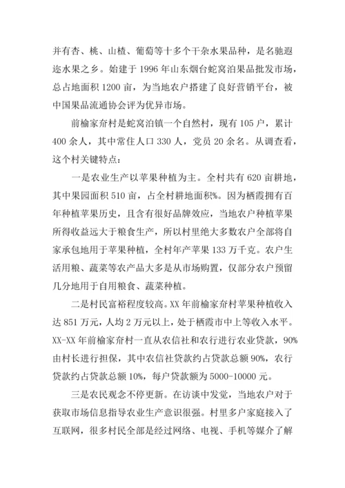 个人回乡调研研究报告.docx