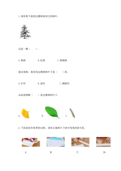 教科版一年级上册科学期末测试卷附参考答案（模拟题）.docx