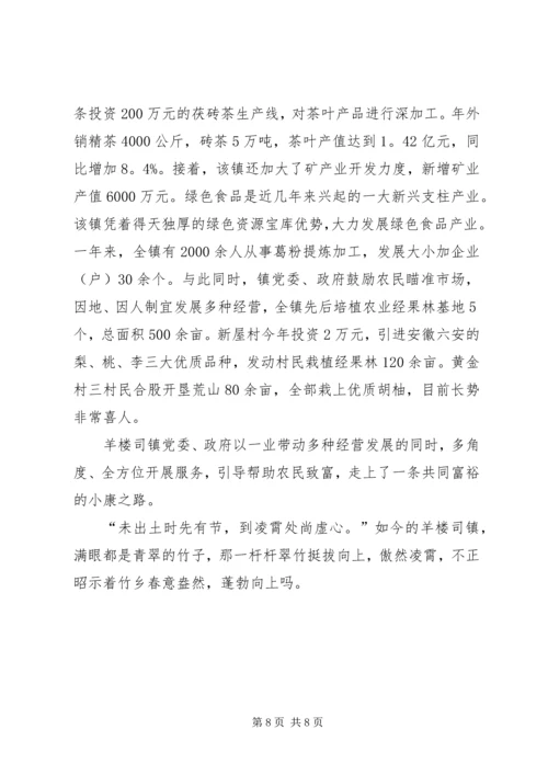 竹乡飞歌春来早——记羊楼司镇党委、政府 (3).docx