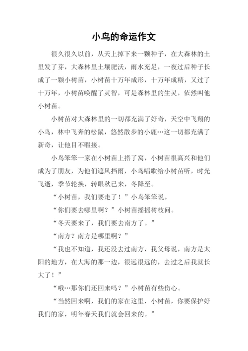 小鸟的命运作文.docx