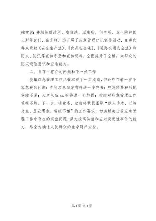 乡镇应急管理工作自查报告.docx