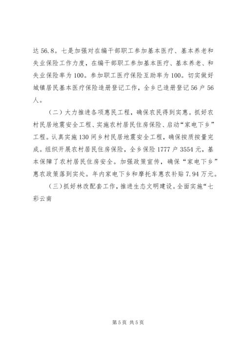 乡镇工作总结和工作意见.docx