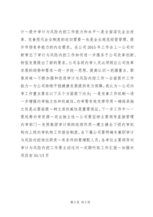 内审分管领导讲话(精) (3).docx