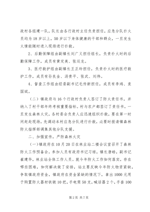 基层乡镇森林防火一年工作汇报.docx