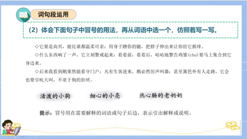 统编版四年级语文下册单元复习第四单元（复习课件）