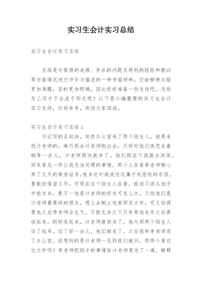 实习生会计实习总结.docx