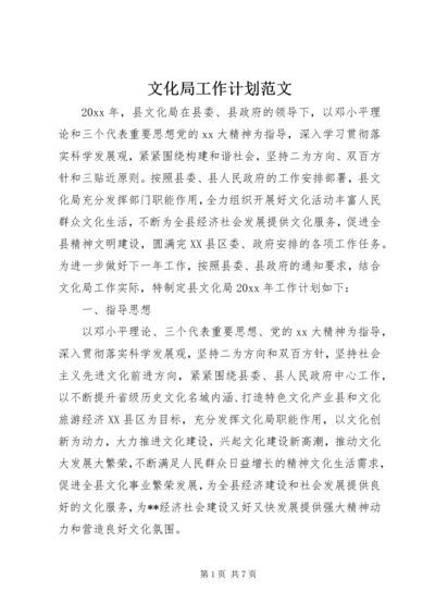 文化局工作计划范文.docx