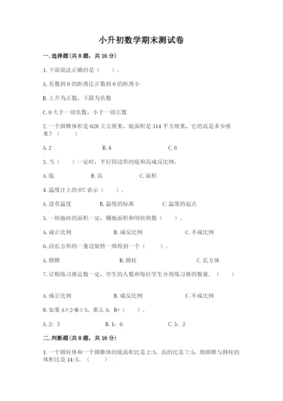 小升初数学期末测试卷精品（夺冠）.docx