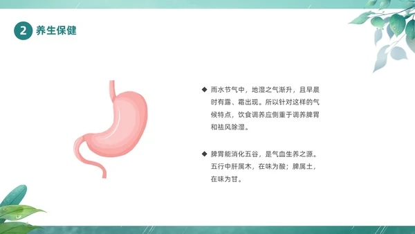 绿色春天中国二十四节气之雨水节气介绍PPT