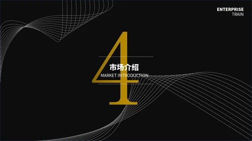 黑色简约线条创业计划书通用PPT模板