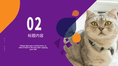 宠物小狗狗泰迪犬通用PPT模板