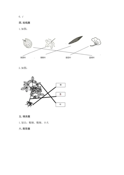 教科版科学一年级上册第一单元《植物》测试卷及答案【基础+提升】.docx