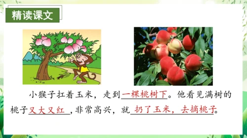 17小猴子下山（教学课件）