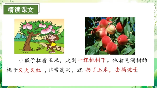 17小猴子下山（教学课件）