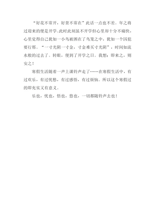 快乐寒假作文700字.docx