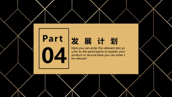 BUSIESS PLAN 商业融资计划书通用PPT模板