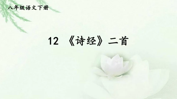 第12课《诗经二首》课件(共51张PPT)