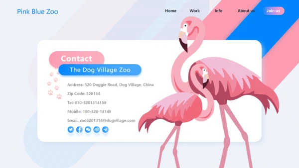 3D质感鹦鹉鸟类通用PPT模板