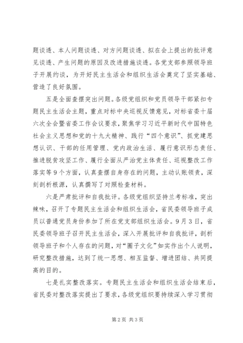 巡视整改专题民主生活会和组织生活会发言稿.docx