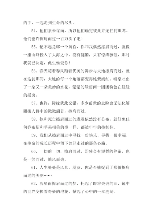 擦肩而过的意思.docx