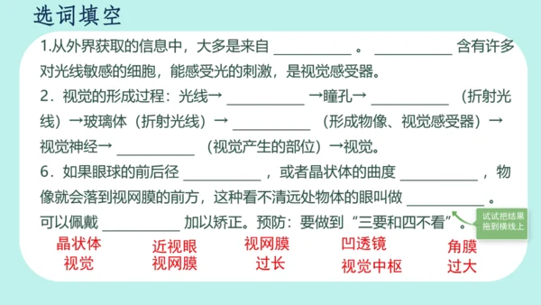 4.6.1  人体对外界环境的感知课件(共20张PPT)人教版 七年级下册