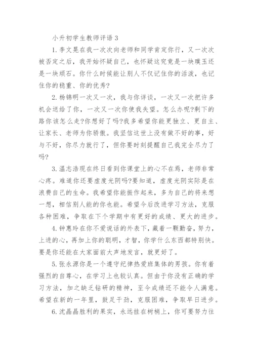 小升初学生教师评语.docx