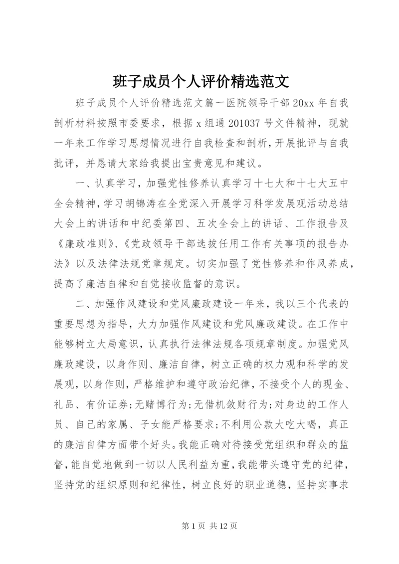 班子成员个人评价精选范文.docx