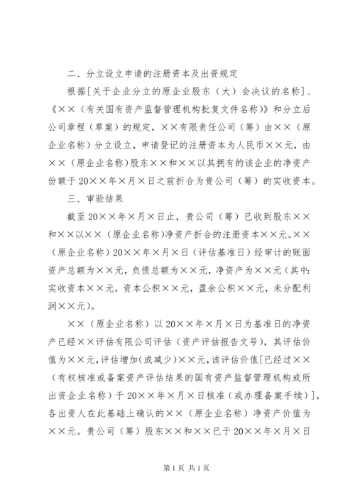 新成立公司验资报告(共8篇) (2).docx