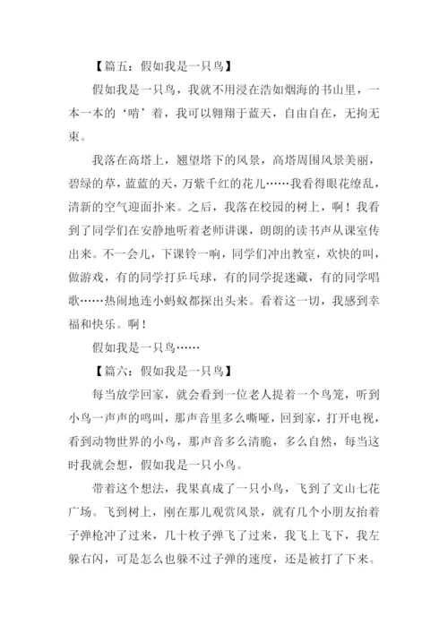 假如我是一只鸟作文300字.docx