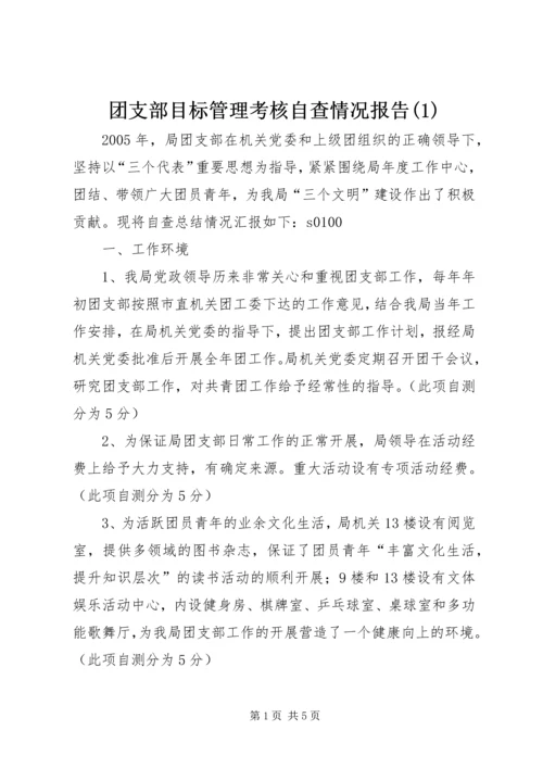 团支部目标管理考核自查情况报告(1).docx