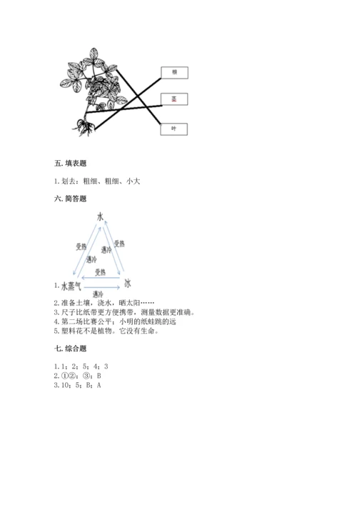 教科版一年级上册科学期末测试卷附完整答案【夺冠系列】.docx