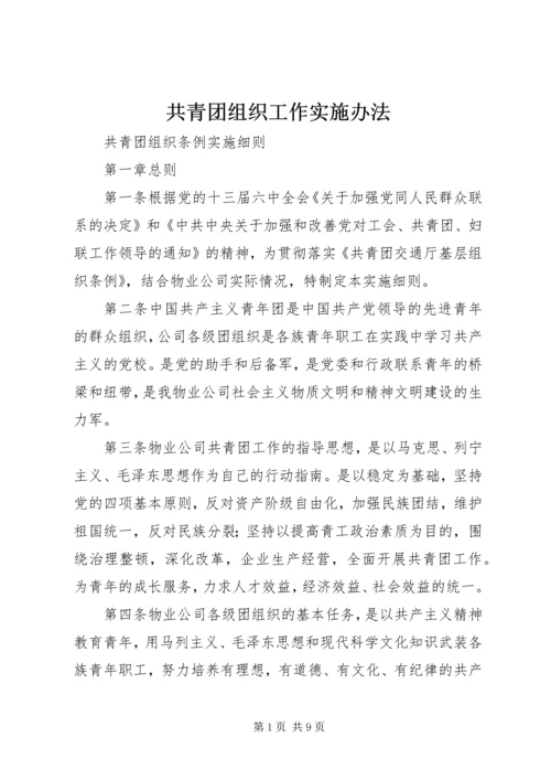 共青团组织工作实施办法 (4).docx