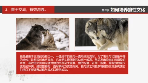 狼性文化通用PPT模板