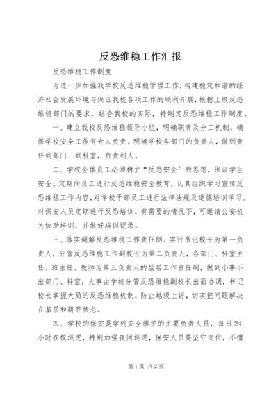 反恐维稳工作汇报 (2).docx