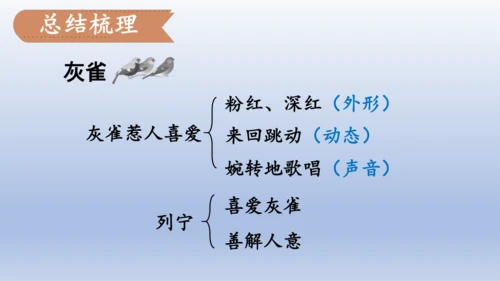 【同步课件】部编版语文三年级上册  25.灰雀（2课时）