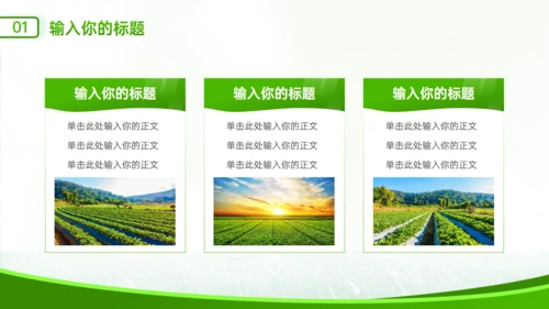 绿色农业风乡村介绍通用PPT模板