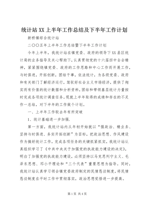 统计站XX上半年工作总结及下半年工作计划 (3).docx