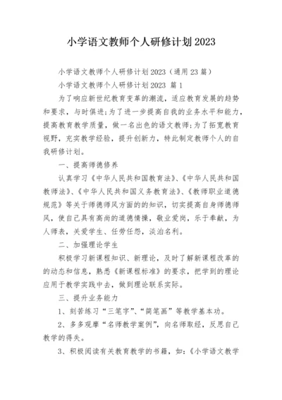 小学语文教师个人研修计划2023.docx